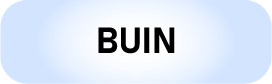 Buin